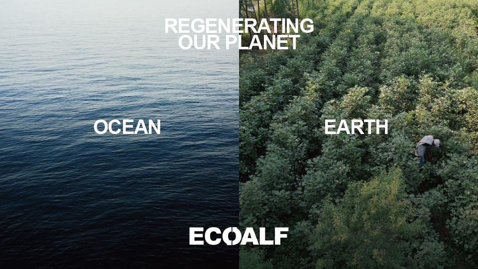 「海」と「土壌」　2つの再生軸を併行して推進